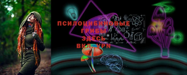 винт Белокуриха