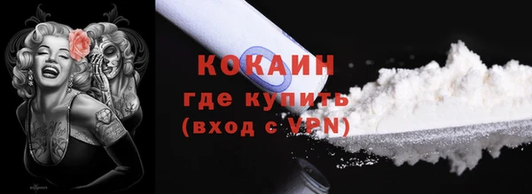 шишки Белоозёрский