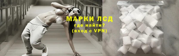 гашик Беломорск