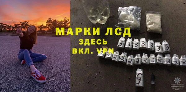 шишки Белоозёрский