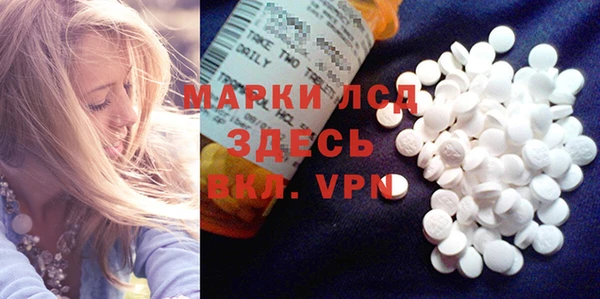 шишки Белоозёрский