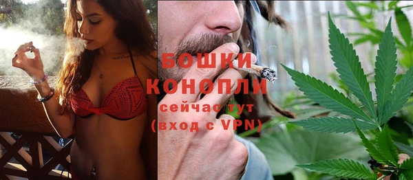 шишки Белоозёрский
