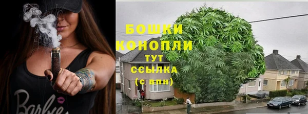шишки Белоозёрский
