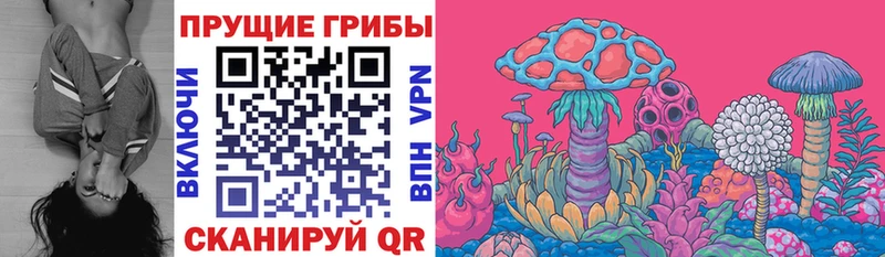 Псилоцибиновые грибы мицелий  Салаир 